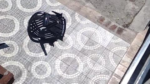 Loco tira una silla desde un primer piso
