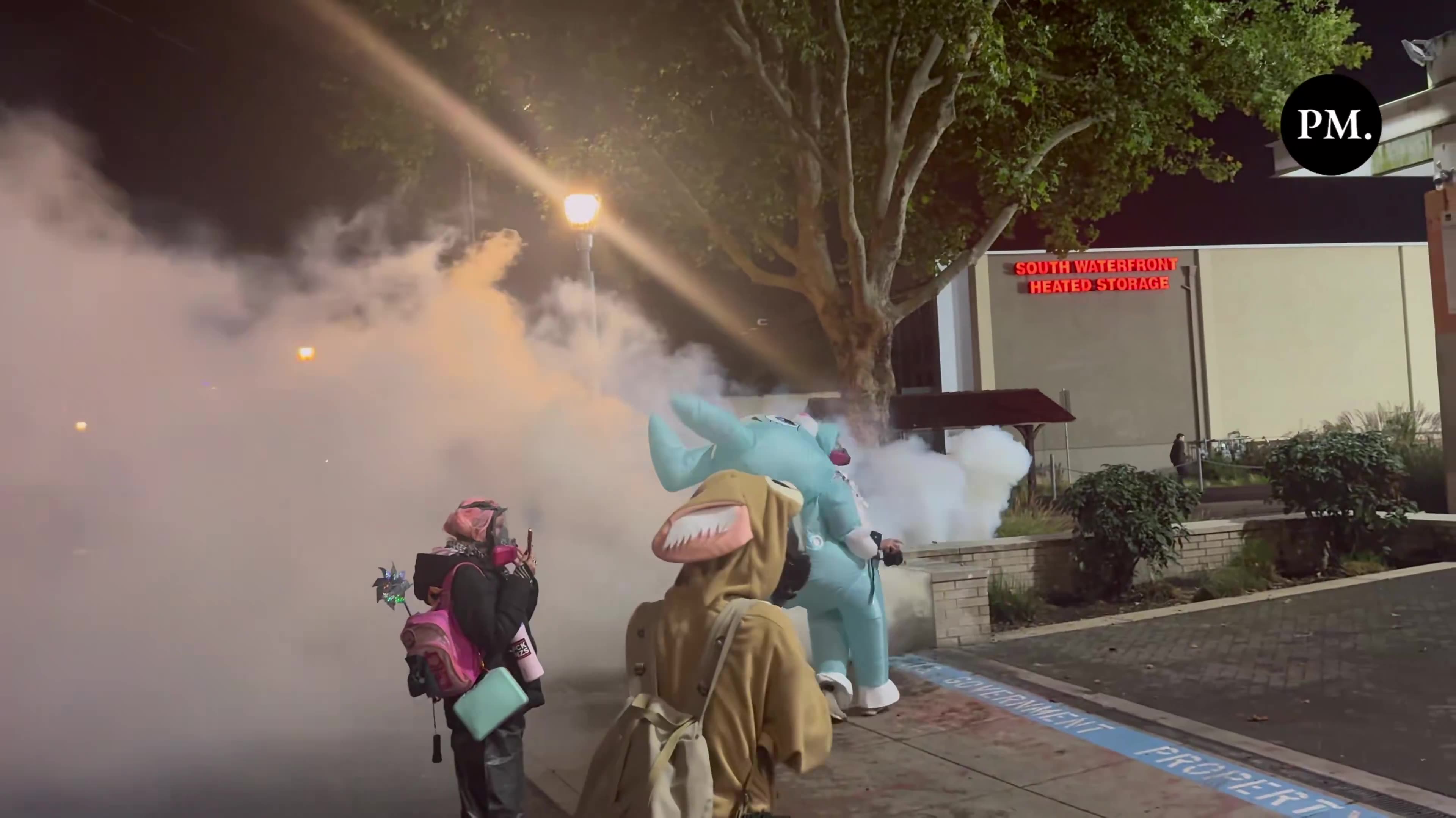 Katie Daviscourt 📸 @KatieDaviscourt