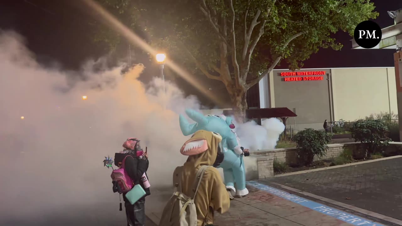 Katie Daviscourt 📸 @KatieDaviscourt