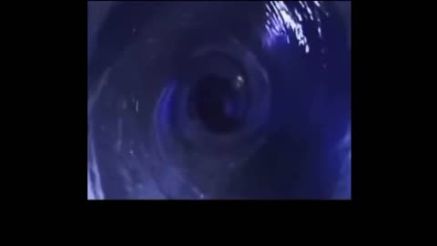 Another Brilliant Mind Labeled "Pseudo-Scientist"