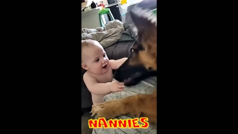 Animals becomes the cutest ''nanny''