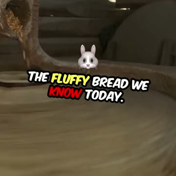 Why bread is the best food