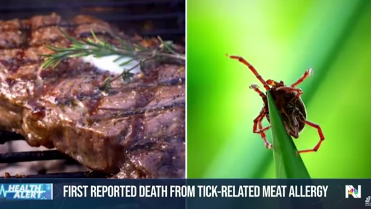 Breaking⛔️First American dies from tick-borne alpha gal meat allergy hours after eating hamburger