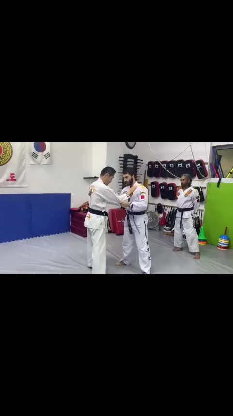 Hapkido