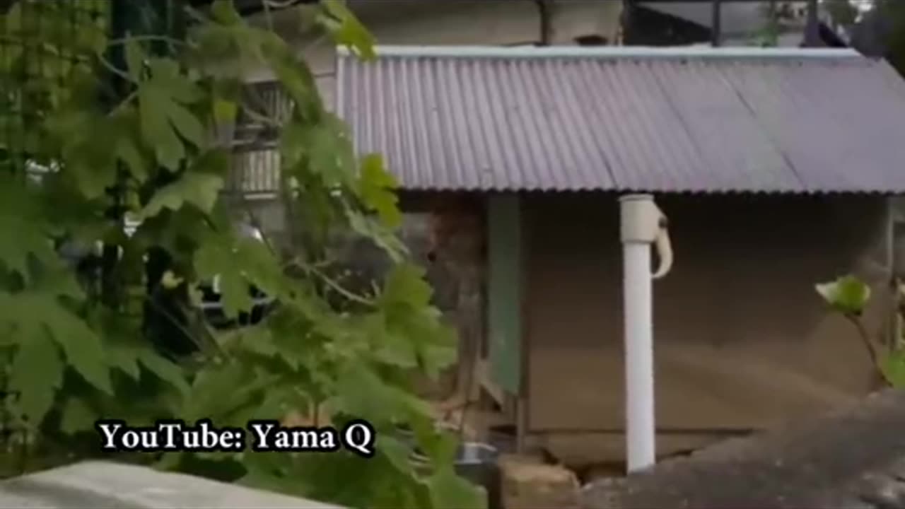 😱👻 The Most Terrifying Ghost Encounter Ever! | TheHauntingHour