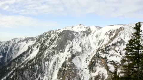 Serene Nature Vibes: Peaceful Scenery to Calm Your Mind