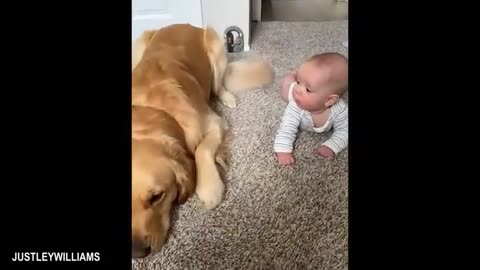 When Big Dogs Become the Sweetest Babysitters 🐶💖 | Gentle Giants Watching Over Babies