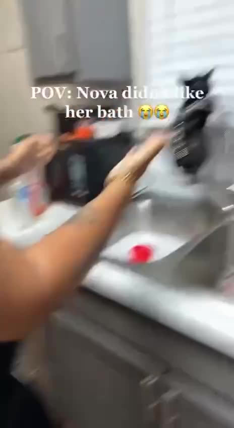 Cats don’t like the wet stuff 😂