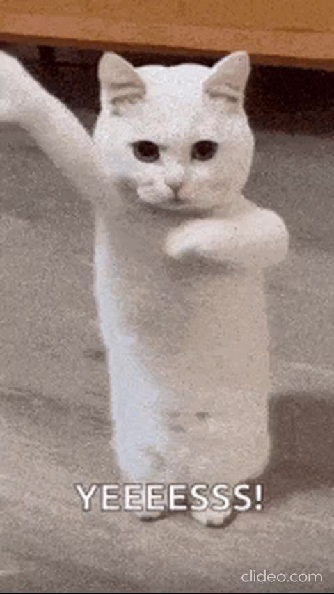 videos danças engraçadas 2.mp4