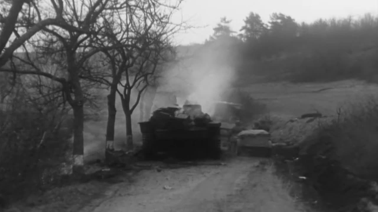 YANKEE RURAL DELIVE... - YANKEE RURAL DELIVERY AT THE FRONT, SERRIG (), GERMANY ; MOT - 111-adc-3652