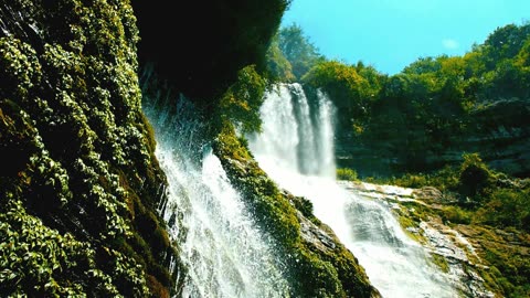 "Turn your wounds into wisdom."