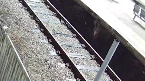 CCTV of the train knifeman has been released