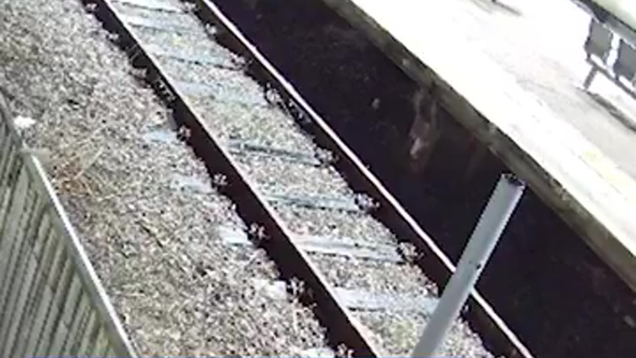 CCTV of the train knifeman has been released