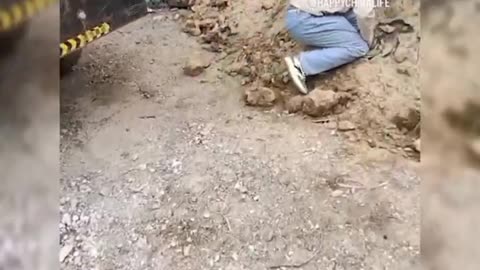 Top 100 Funniest Videos of All Time - Try Not to Laugh Challenge - Best Funny Compilation #31