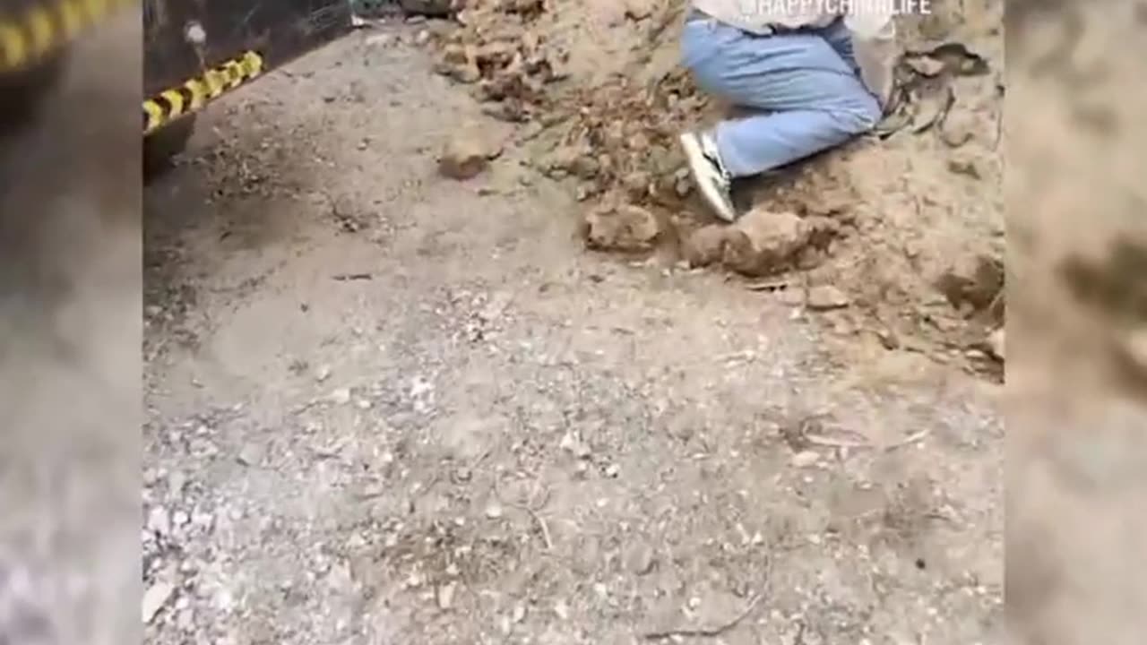 Top 100 Funniest Videos of All Time - Try Not to Laugh Challenge - Best Funny Compilation #31