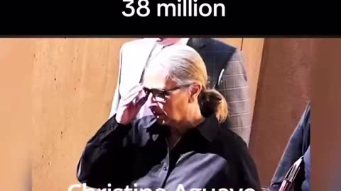 Another Dem Criminal
