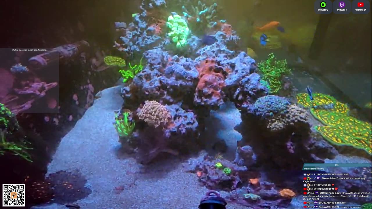 24/7 Real Live Reef Stream