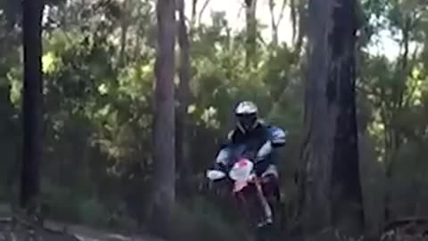 What I Imagined vs What I Got 😂 | Expectation vs Reality Funny Moment”