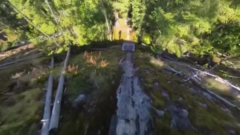 Lewis Buchanan Athlete Just a guy livin’ his dream