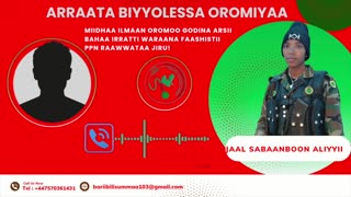 ONM-ABO Onkoloolessa 7-2025 itti dhiyaadhaa!