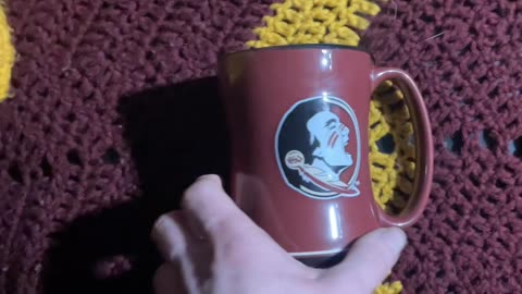 FSU FLORIDA STATE UNIVERSITY SEMINOLES