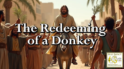The Redeeming of a Donkey