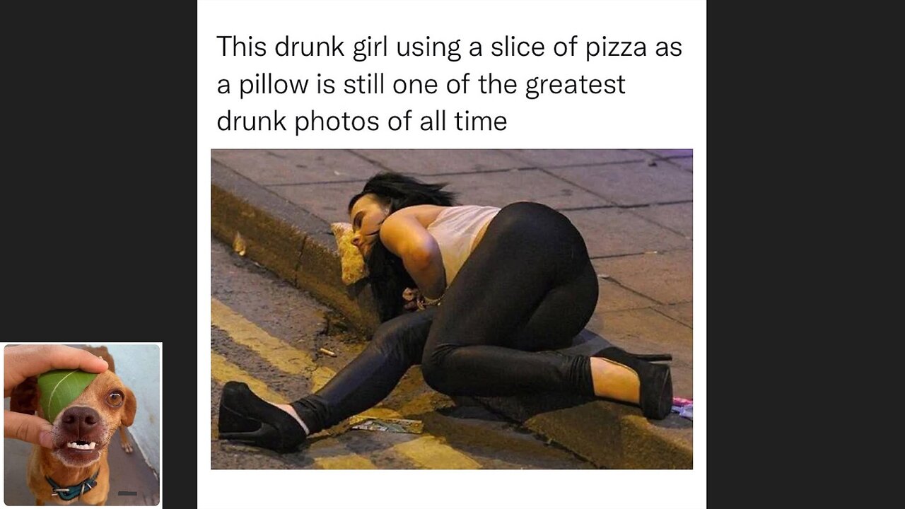 Memes That Will 99.0392% Make You Laugh. (e616)