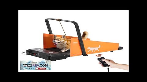 Dog Treadmill for Medium Dogs up to 200 lbs Electric Pet Treadmill Review