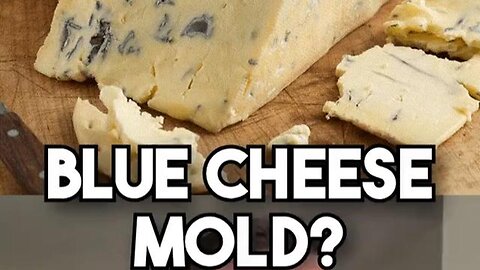 The Unpasteurized Blue Cheese Rabbit Hole - Cultivate Elevate