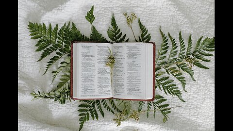 HalleluYah Scriptures Spreading the Good News of YHWH!