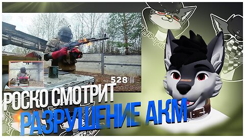 🐺 Роско смотрит КАЛАШНИКОВ - Разрушители оружия: АКМ