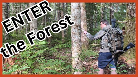 Experiencing the WILD Forest - Still Hunting on Vancouver Island