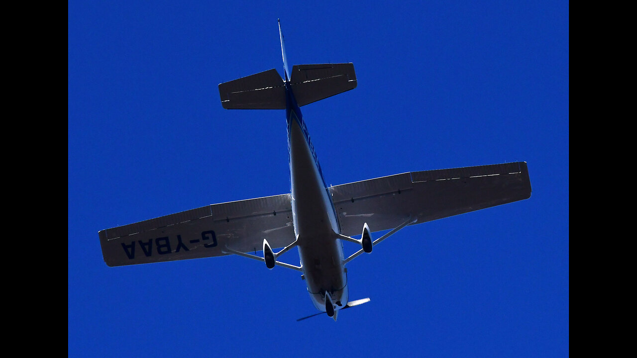 NEIL ANTHONY BAXTER A WINGED MONKEY