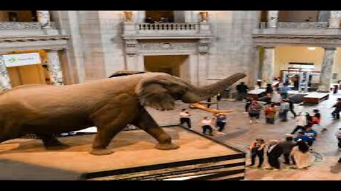 WH Pushes Smithsonian to Comply With Wokeness Review