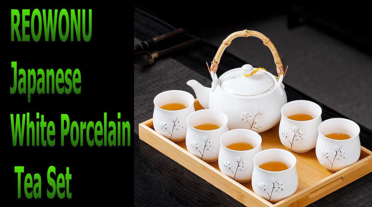 REOWONU Japanese White Porcelain Tea Set