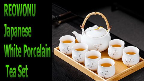 REOWONU Japanese White Porcelain Tea Set