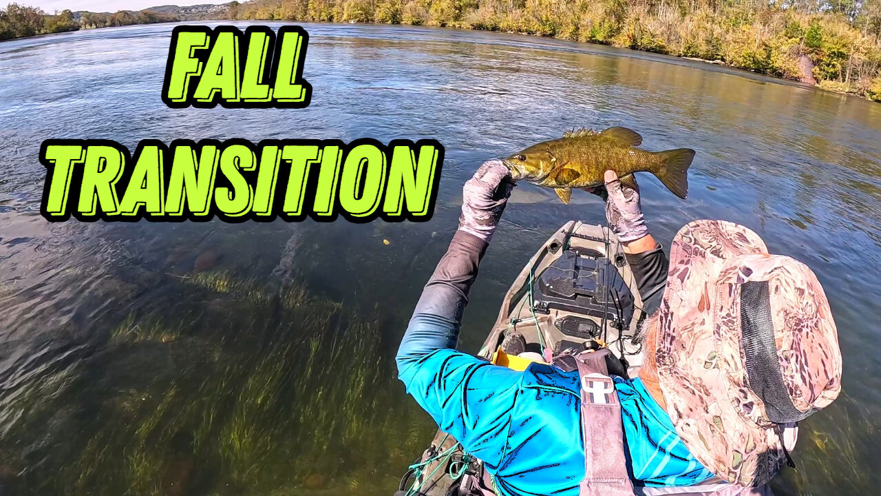 Fall Transition