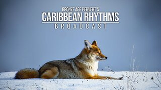 Ep 134 "Homer, Part One" • Caribbean Rhythms w/ Bronze Age Pervert