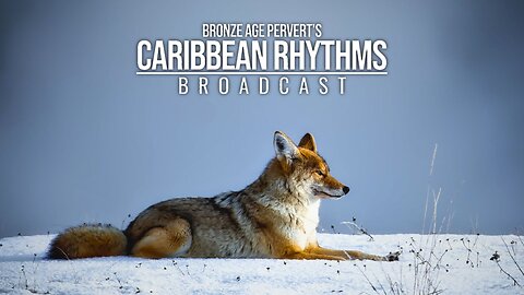 Ep 134 "Homer, Part One" • Caribbean Rhythms w/ Bronze Age Pervert