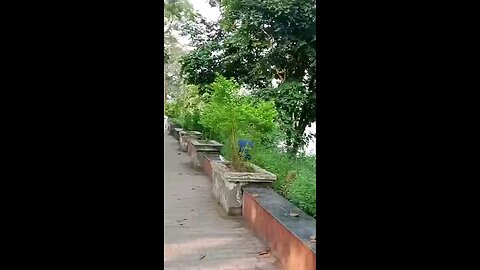 satisfying Video