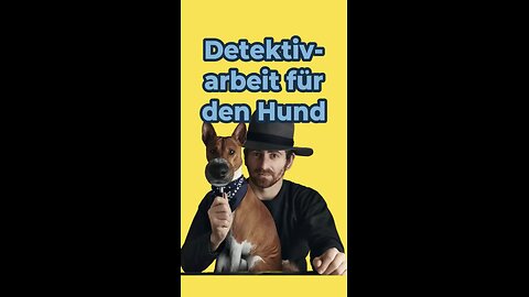 Tipp! So findest du die Ursache, wenn dein Hund nicht frisst.