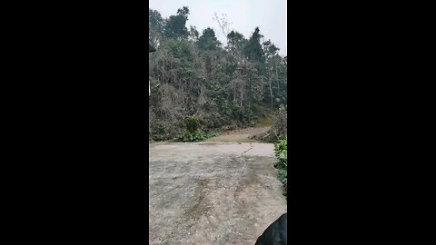 zuimeishanye