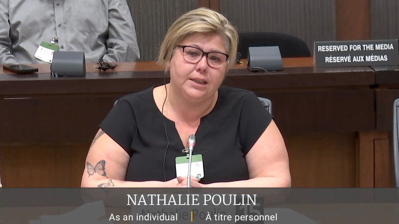 COMITÉ PARLEMENTAIRE-NPOULIN