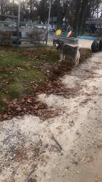 Monday November 24, When you fast don’t make it obvious.