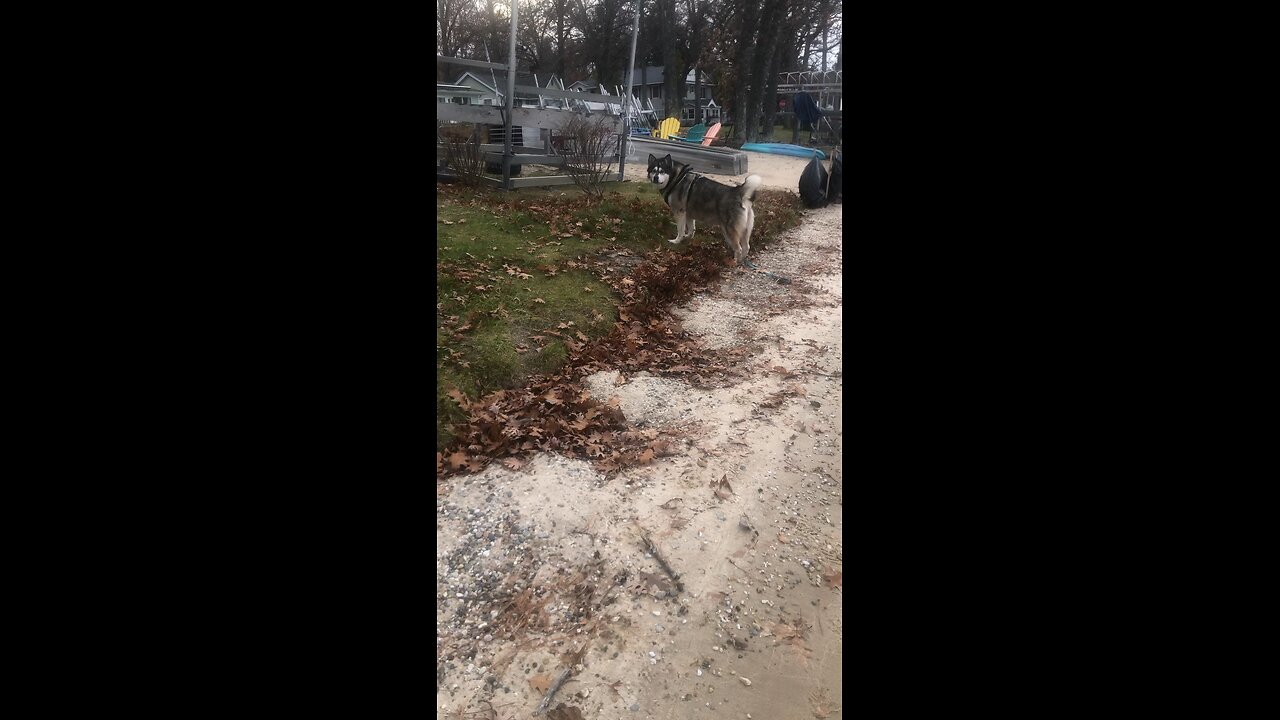 Monday November 24, When you fast don’t make it obvious.