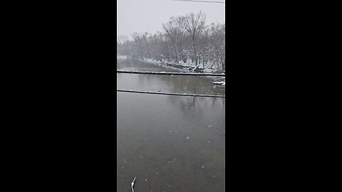 Ducks on Salt Creek in a Winter Storm