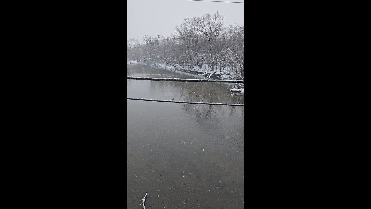 Ducks on Salt Creek in a Winter Storm