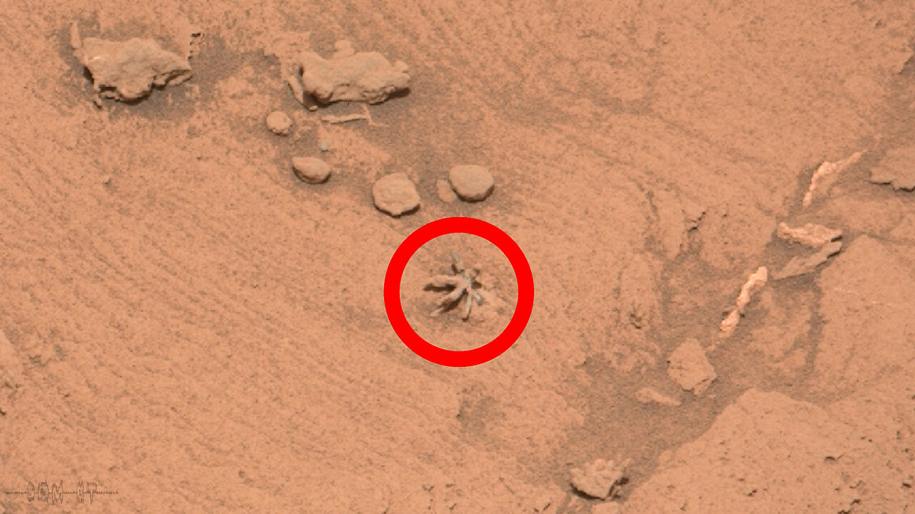 Som ET - 58 - Mars - Curiosity Sol 3397 - 2
