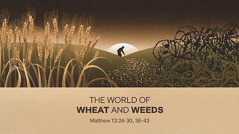 The World of Wheat and Weeds | Matthew 13:24-30, 36-43