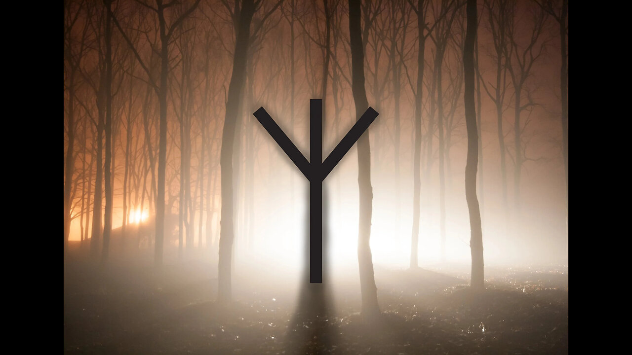 Life, consciousness and the higher self - ᛉ Algiz